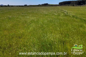 0907 (1)(6)_473934658bbbbf4a1468ba51f144245da768abdc.jpg